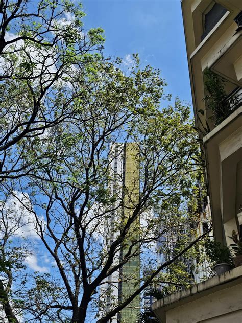 b.i.r. mandaluyong photos|Somewhere in Mandaluyong : r/ITookAPicturePH .